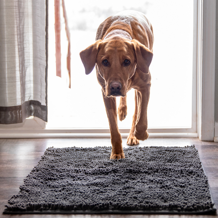 CleanPatte™ - Tapis ultra absorbant Premium