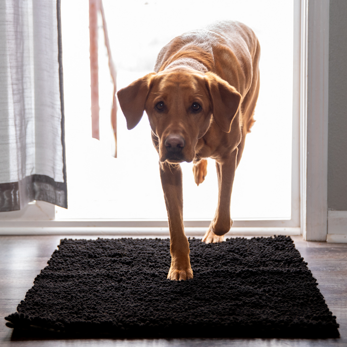 CleanPatte™ - Tapis ultra absorbant Premium
