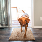 CleanPatte™ - Tapis ultra absorbant Premium