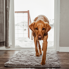 CleanPatte™ - Tapis ultra absorbant Premium