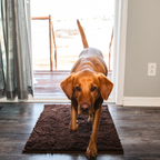 CleanPatte™ - Tapis ultra absorbant Premium