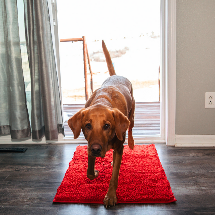 CleanPatte™ - Tapis ultra absorbant Premium