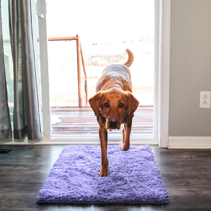 CleanPatte™ - Tapis ultra absorbant Premium