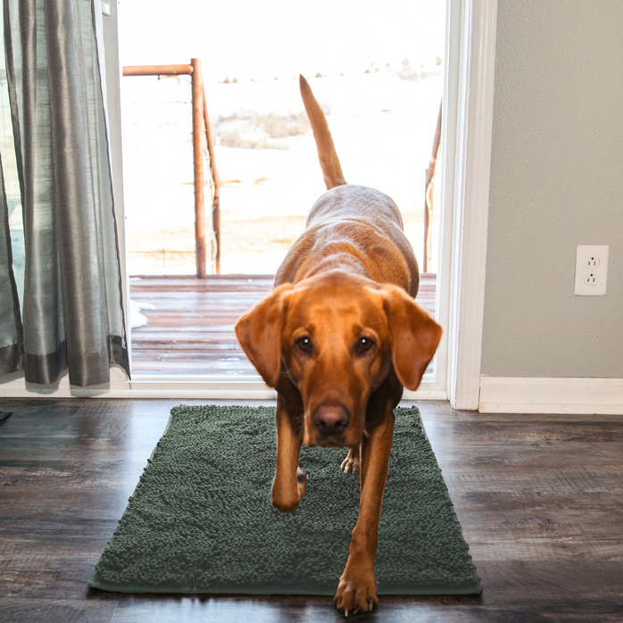 CleanPatte™ - Tapis ultra absorbant Premium