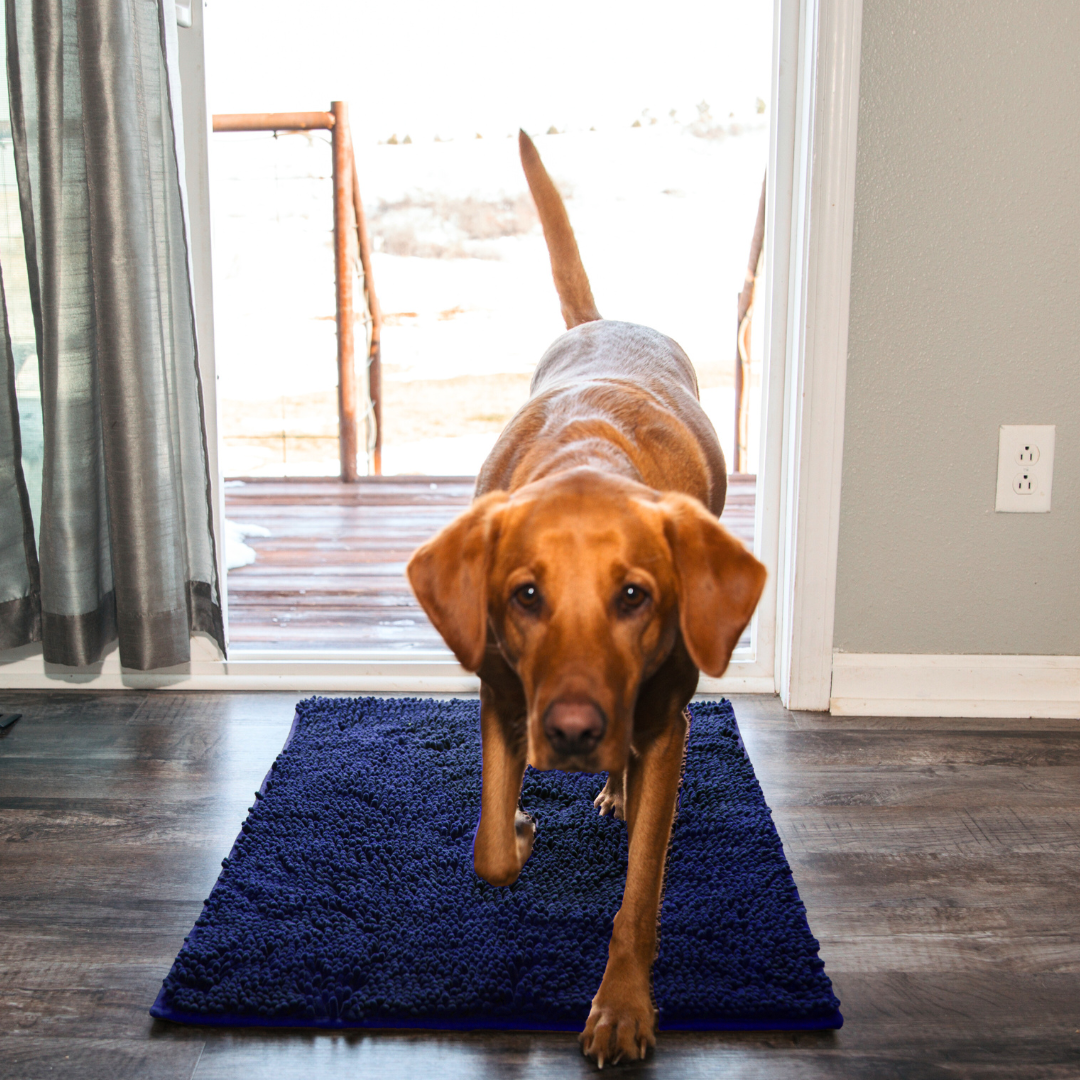 CleanPatte™ - Tapis ultra absorbant Premium