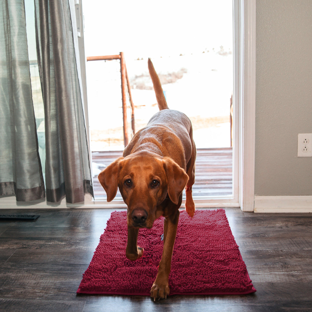 CleanPatte™ - Tapis ultra absorbant Premium