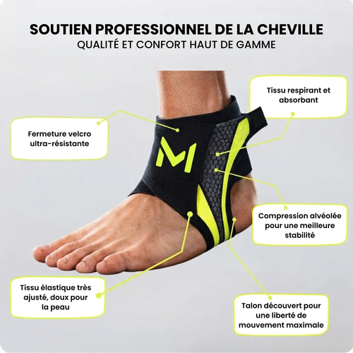 Chevillère Elios