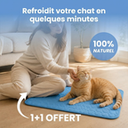 Tapis rafraîchissant