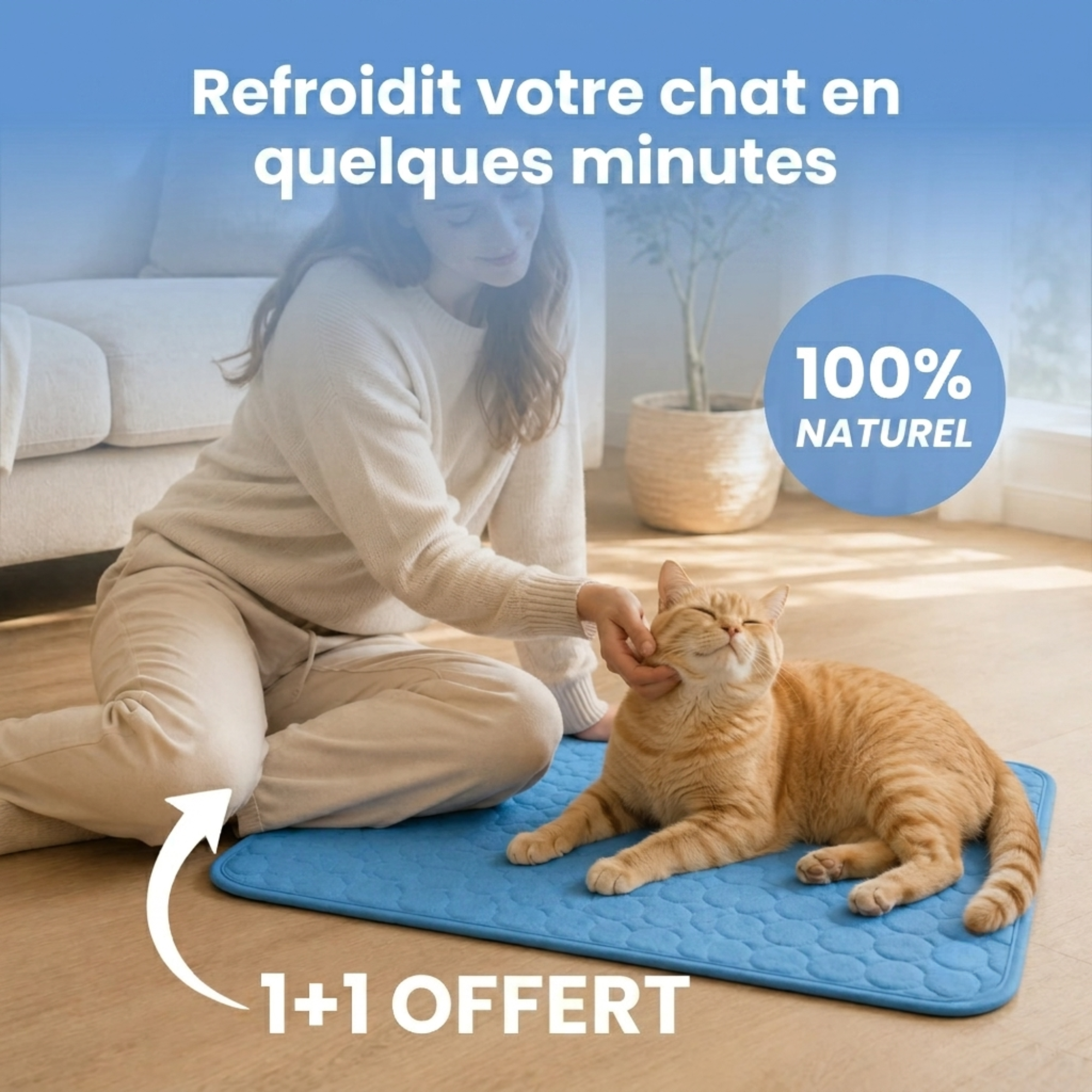 Tapis rafraîchissant