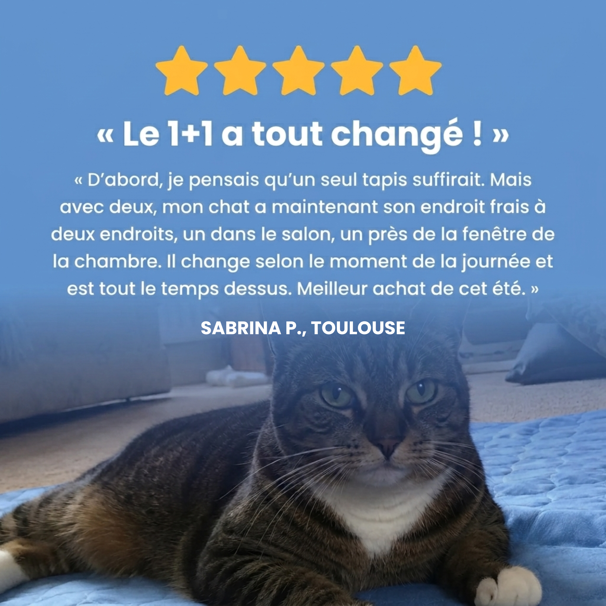 Tapis rafraîchissant