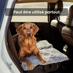 CleanPatte™ - Tapis ultra absorbant Premium