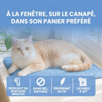 Tapis rafraîchissant