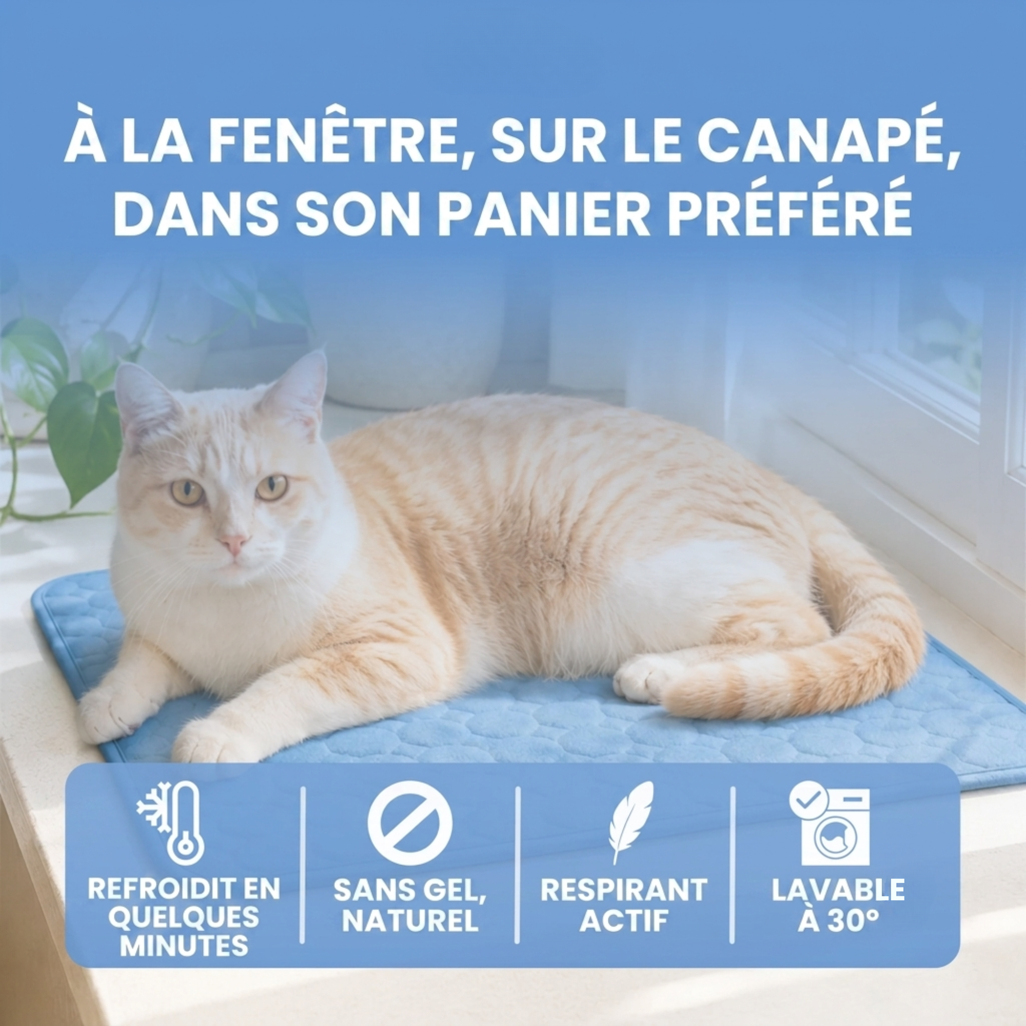 Tapis rafraîchissant