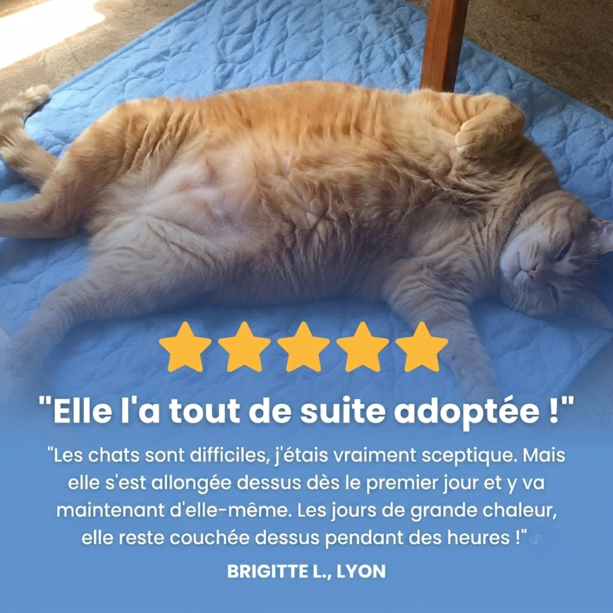 Tapis rafraîchissant