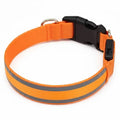 Collier lumineux ELIOS