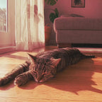 Tapis rafraîchissant